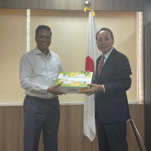 Mangoes received by Nakane San, Consulate General of Japan in Bangalore